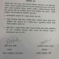 bibidh image
