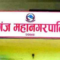 बीरगञ्ज