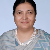 bibidh image