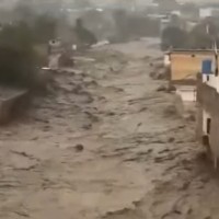 bibidh image