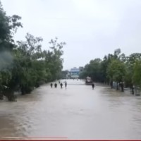 bibidh image
