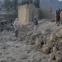 bibidh image