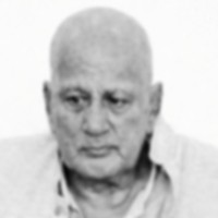 bibidh image