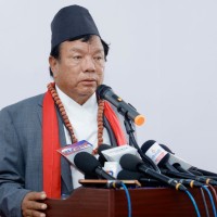bibidh image