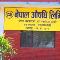 bibidh image
