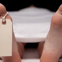 ट्रकको ठक्करबाट एक युवकको मृत्यु