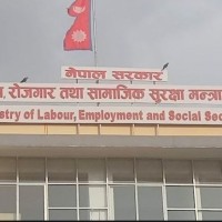 bibidh image