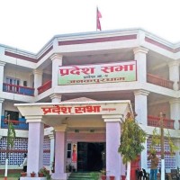 bibidh image