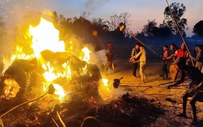 दोभान बजार आगलागी १४ करोड ५६ लाख क्षति,