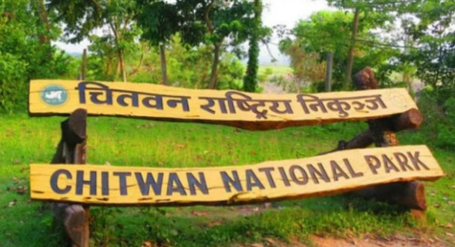 बाघको आक्रमणबाट एक जना घाइते