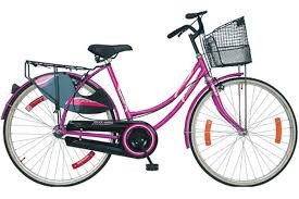 Bicycle  distributed to girl students   