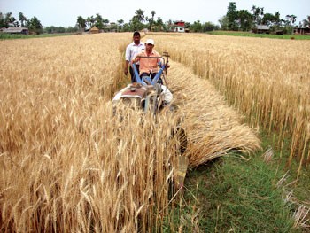    आगामी राष्ट्रिय कृषि गणनामा २५ लाख घरपरिवार समेटिने   
